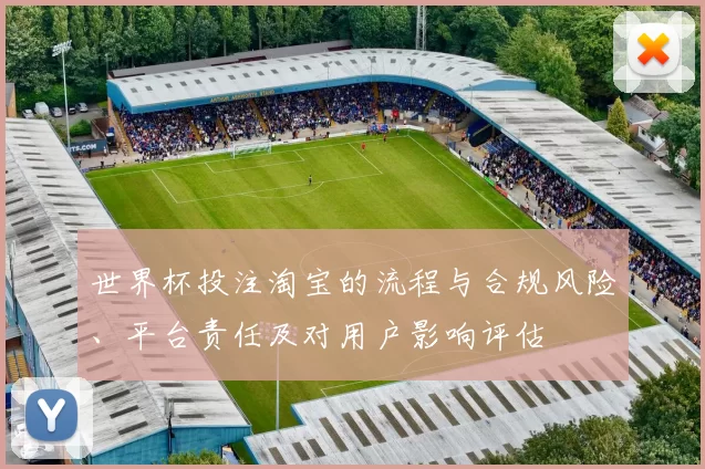 世界杯投注淘宝的流程与合规风险、平台责任及对用户影响评估