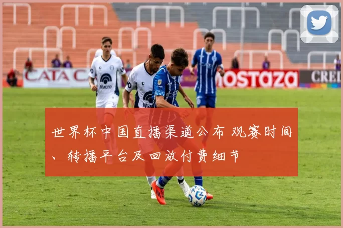 世界杯中国直播渠道公布 观赛时间、转播平台及回放付费细节