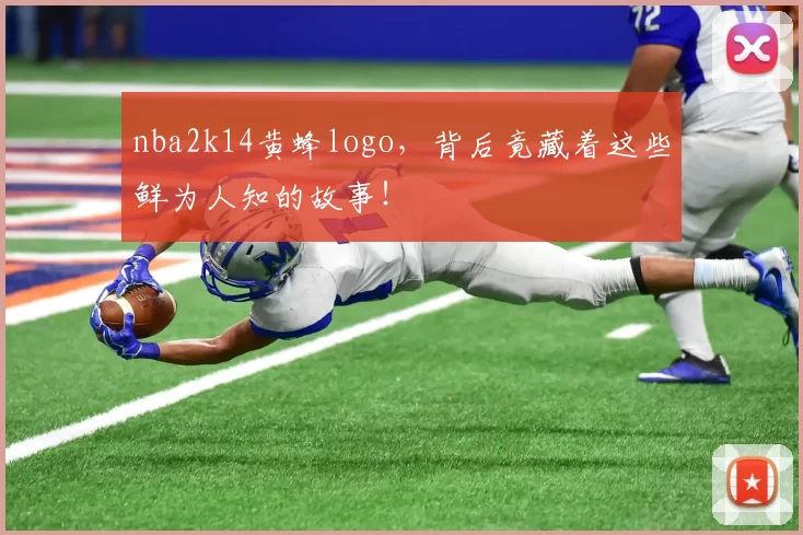 nba2k14黄蜂logo，背后竟藏着这些鲜为人知的故事！