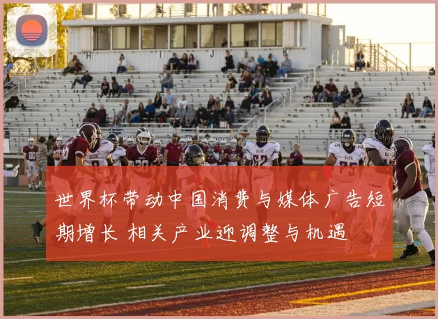 世界杯带动中国消费与媒体广告短期增长 相关产业迎调整与机遇