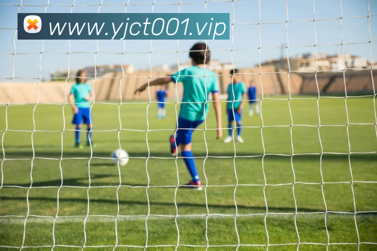 开云·kaiyun体育(中国)官方网站 - 登录入口发展历程